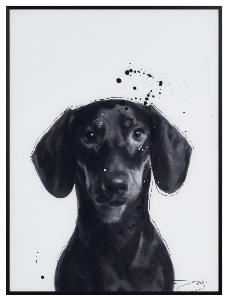 "Dachshund" Black and White Pet Art on Printed Glass Encased with Anodized Frame