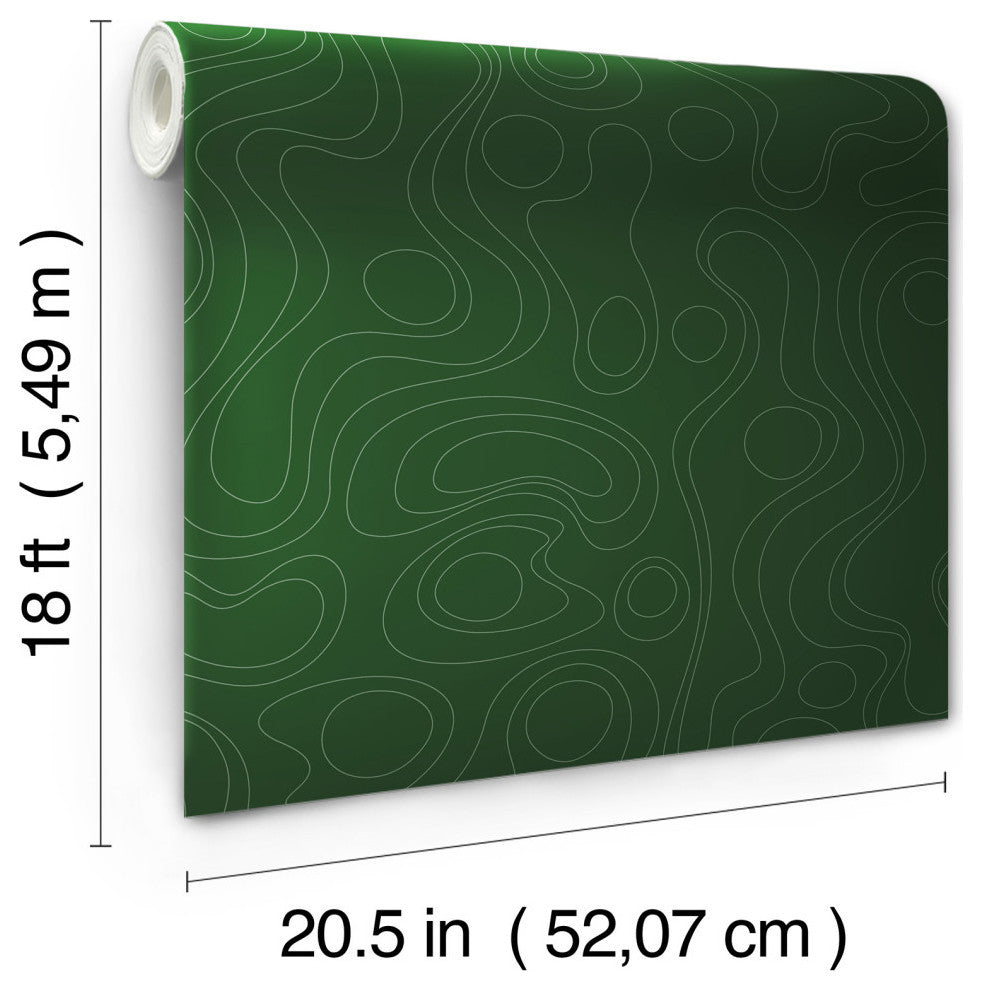 Emily Rayna Green Lineation Peel and Stick Wallpaper