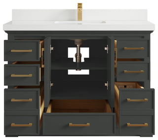 Charlotte 48" Single Sink Bath Vanity in Black Top 2" White Quartz