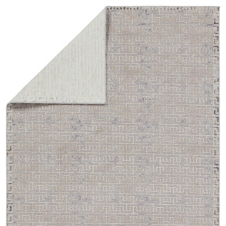 Baxley Geometric Gray/ Beige Area Rug 10'X14'