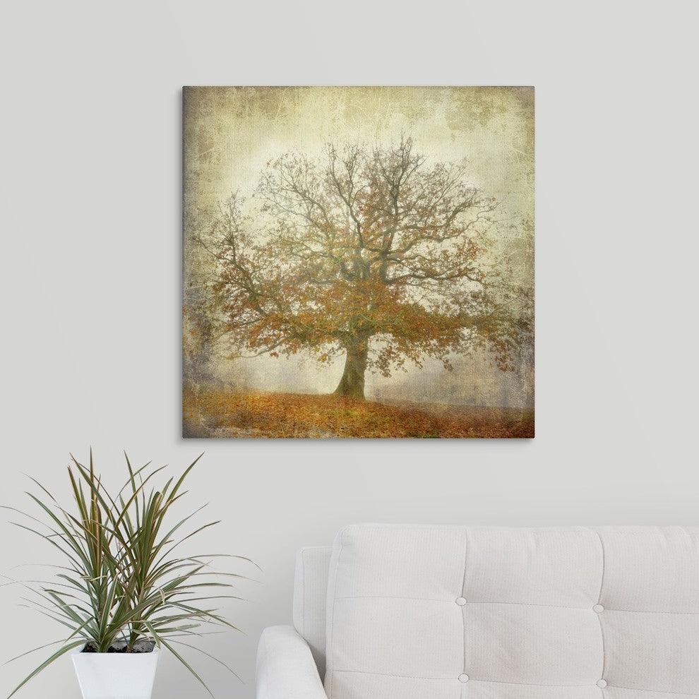 "Textured Tree " Wrapped Canvas Art Print, 24"x24"x1.5"