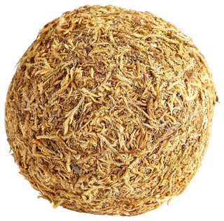 Cyan Design Small St. Augustine Filler