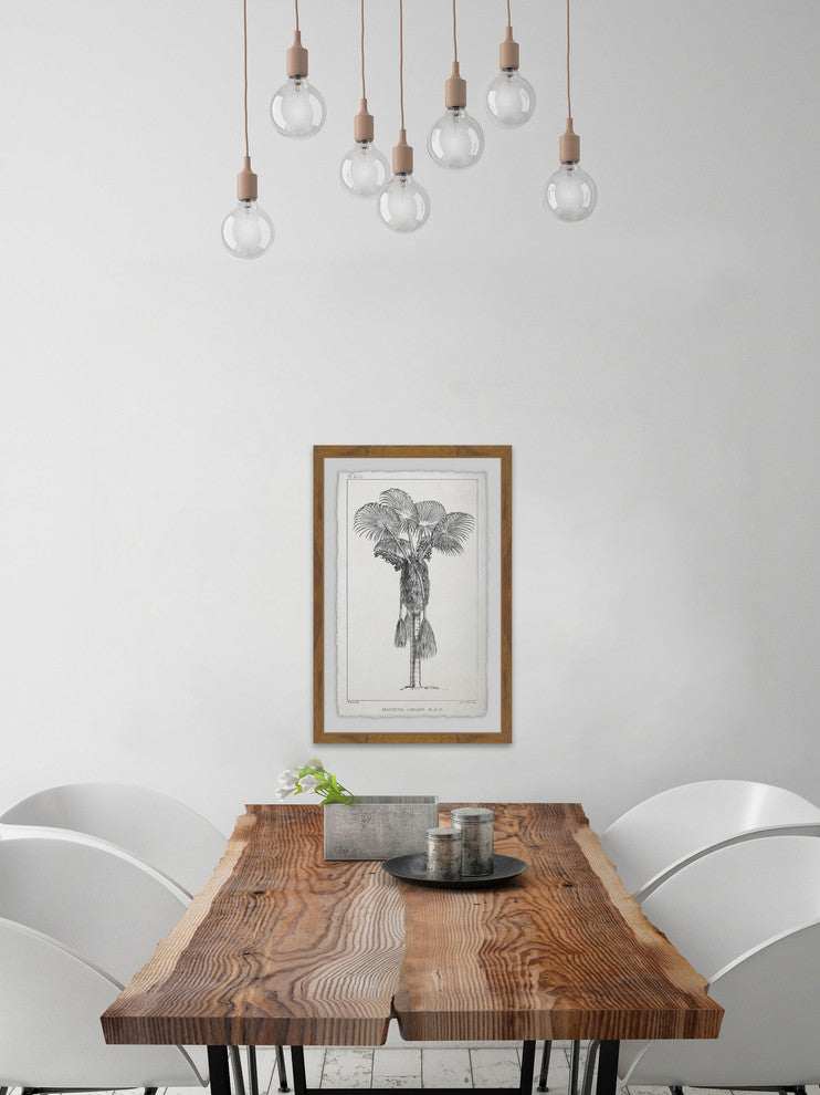 "Palm Livistona" Framed Painting Print, 24"x36"