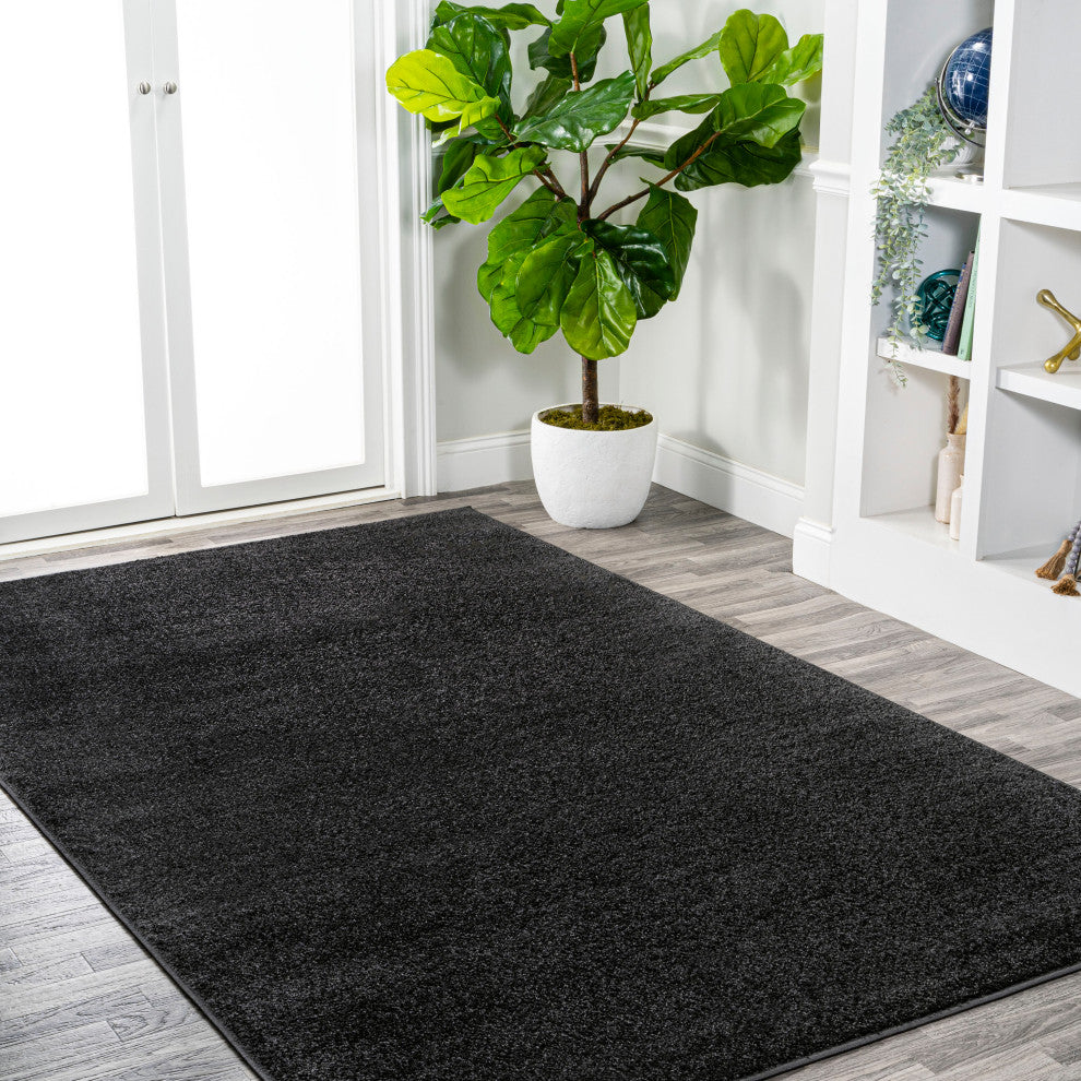 Haze Solid Low-Pile Black 10 ft. x 14 ft. Area Rug
