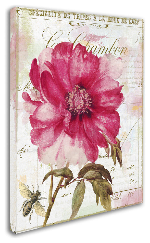 Color Bakery 'Pink Peony' Canvas Art, 14x19
