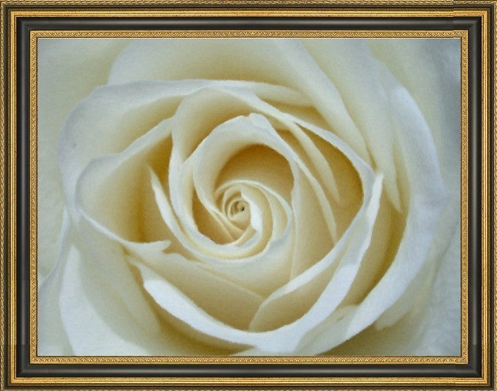 Our Original Collection White Rose Detail Framed Premium Canvas Print, 21"x28"