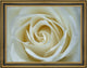 Our Original Collection White Rose Detail Framed Premium Canvas Print, 21"x28"