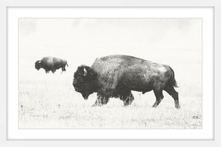 "Buffalo Pair" Framed Painting Print, 18"x12"