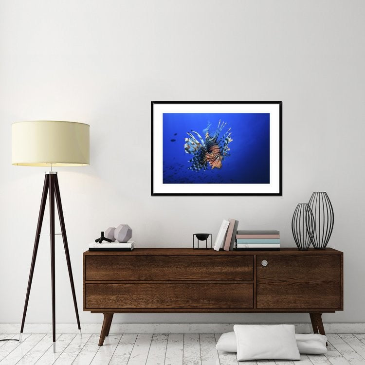 "Lionfish" Framed Digital Print by Barathieu Gabriel, 44x32"