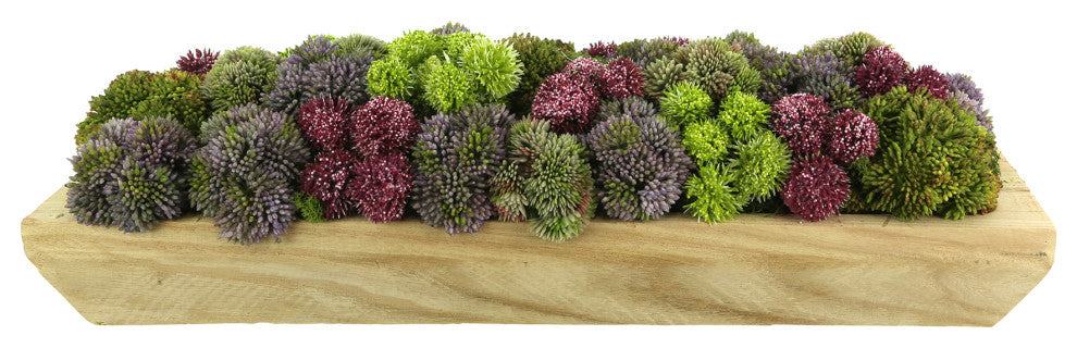 Sedum, Pompom and Moss Arrangement in a  Wood Planter