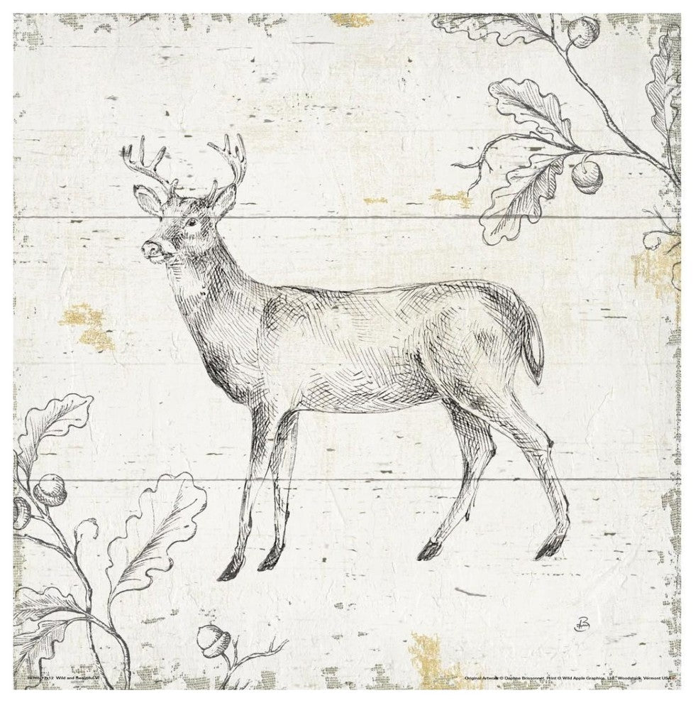 "Wild and Beautiful VI" Digital Paper Print by Daphne Brissonnet, 38"x38"