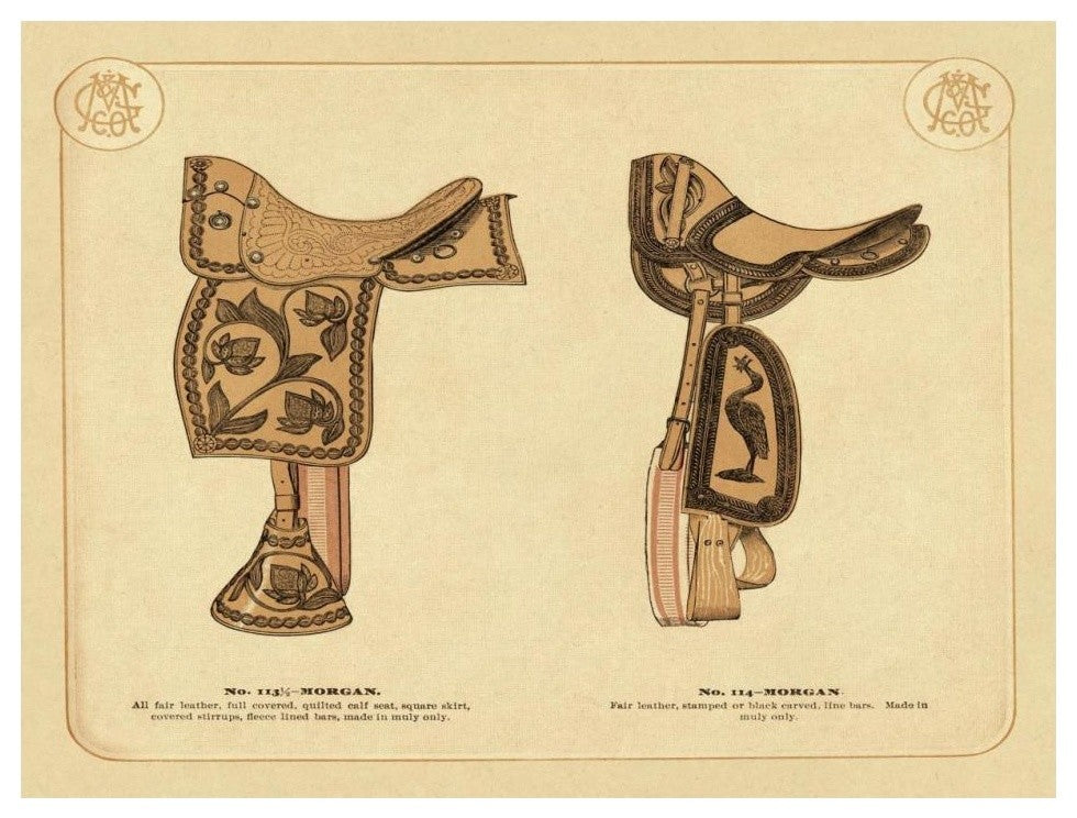 "Saddles and Tack: Morgan Saddles #2" Digital Paper Print, 18"x14"