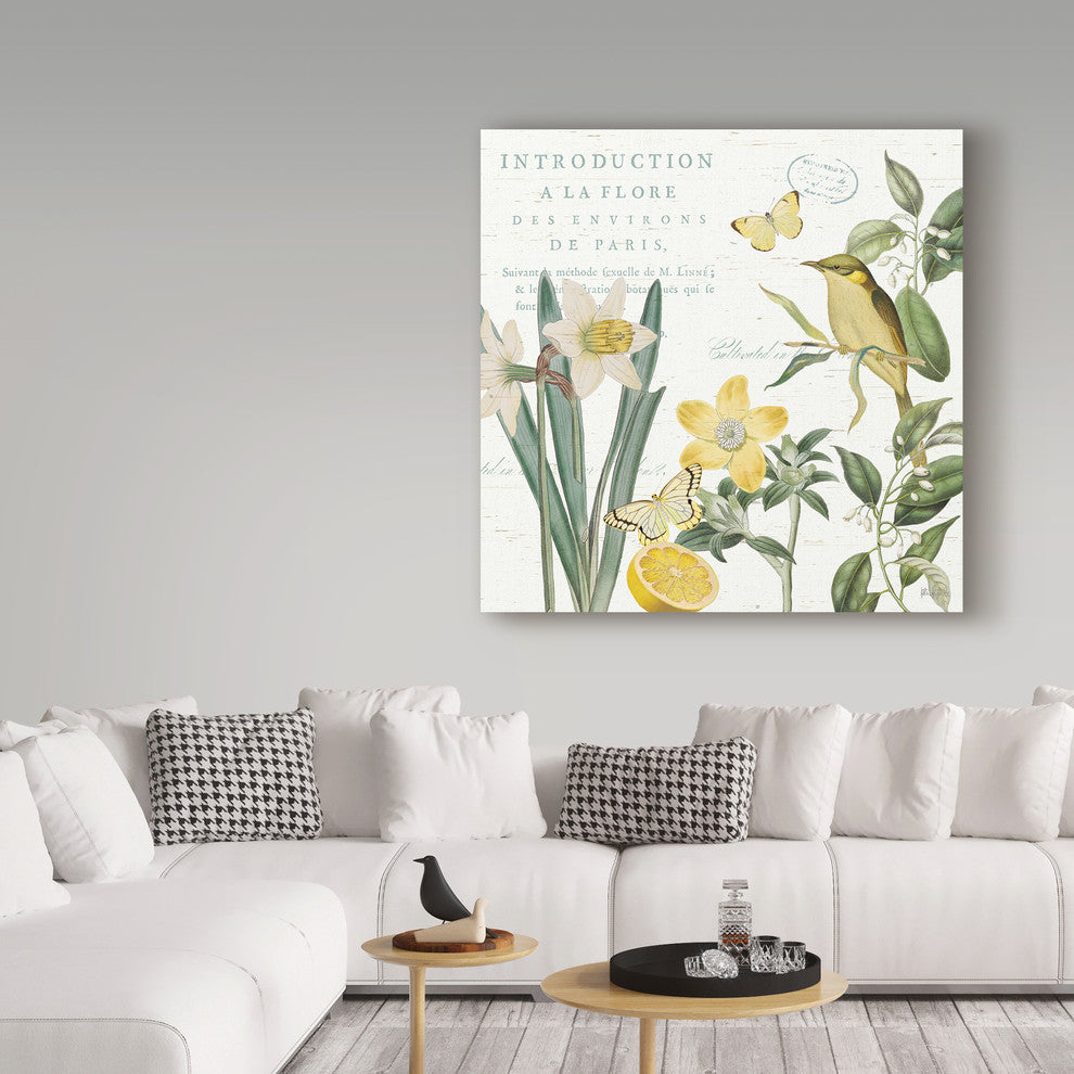 "Citron Curiosities III" by Katie Pertiet, Canvas Art, 14"x14"