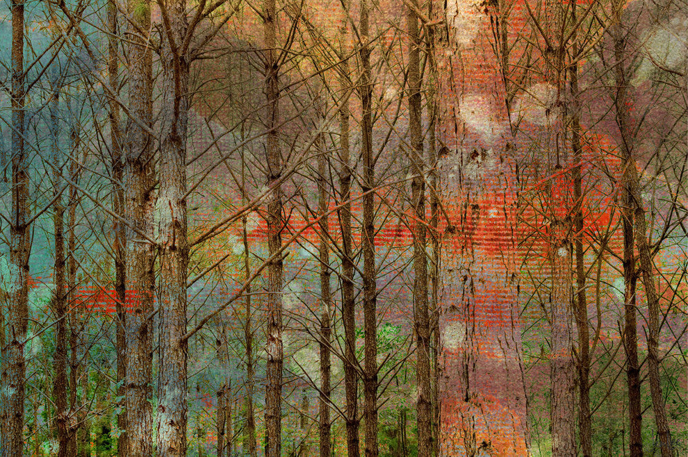 "Through the Trees" Artwork