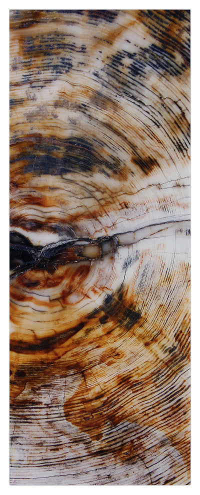 "Impact B" Abstract Wall Art Frameless Free Floating Tempered Glass