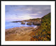 Ice Plant Growing On Cliffs At Bean Hollow Beach, California, 41"x34"