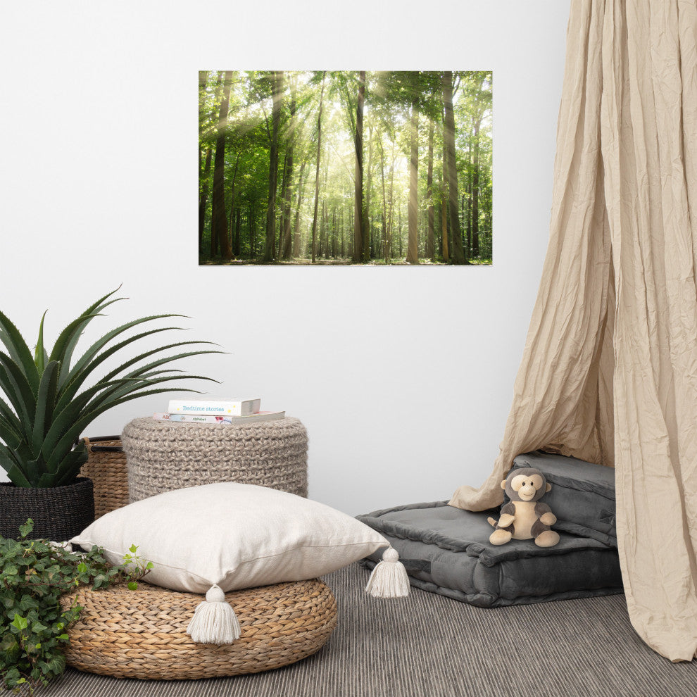 Sun Rays Through Treetops Landscape Photo Unframed Wall Art Print, 24" X 36"