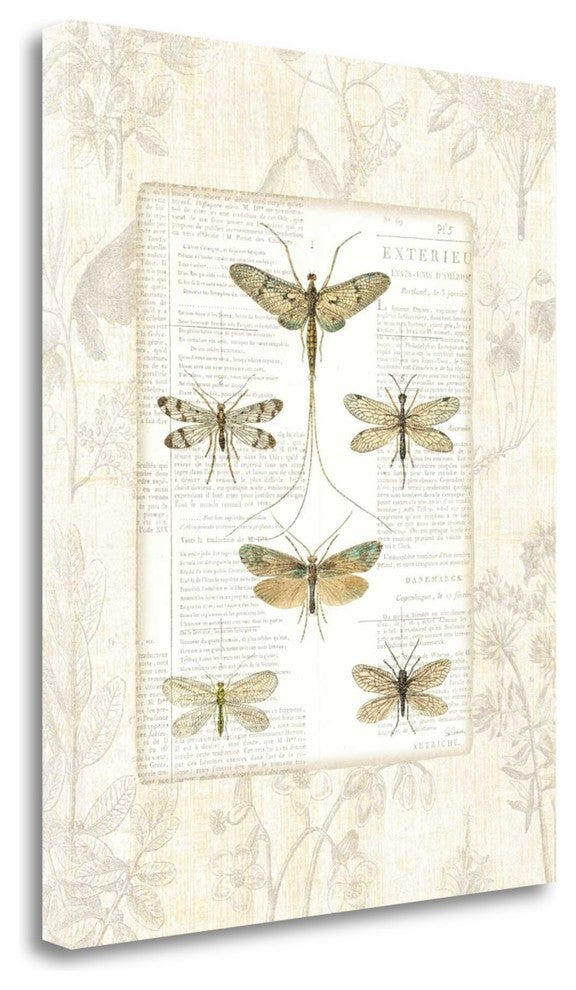 "Dragonfly Botanical" By Sue Schlabach, Giclee Print on Gallery Wrap Canvas