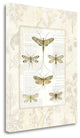 "Dragonfly Botanical" By Sue Schlabach, Giclee Print on Gallery Wrap Canvas