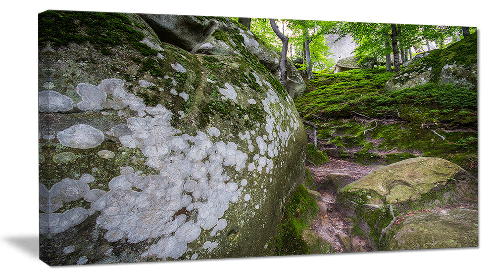 "Large Rocks in Deep Moss Forest" Landscape Art Print Canvas, 32"x16"
