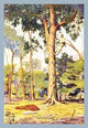 Sapodilla Tree - Gallery Wrapped Canvas Art 28" x 42"