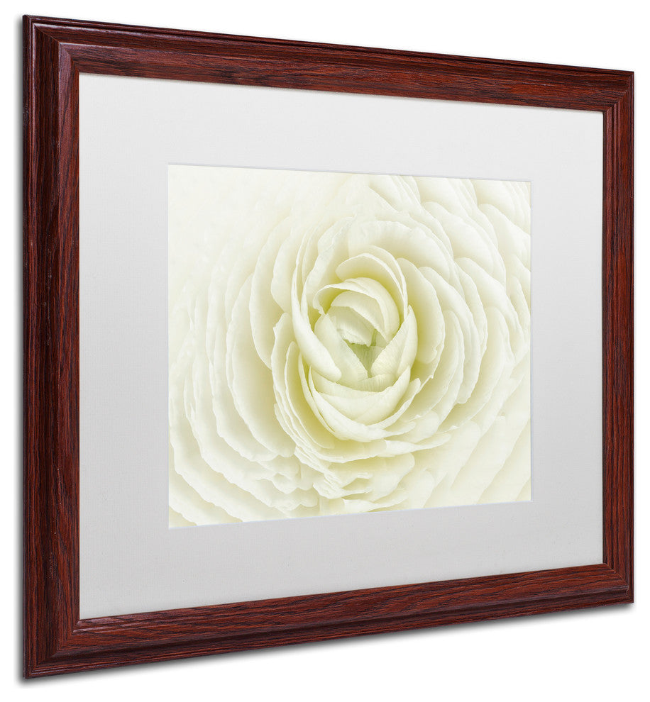 Cora Niele 'White Persian Buttercup' Matted Framed Art