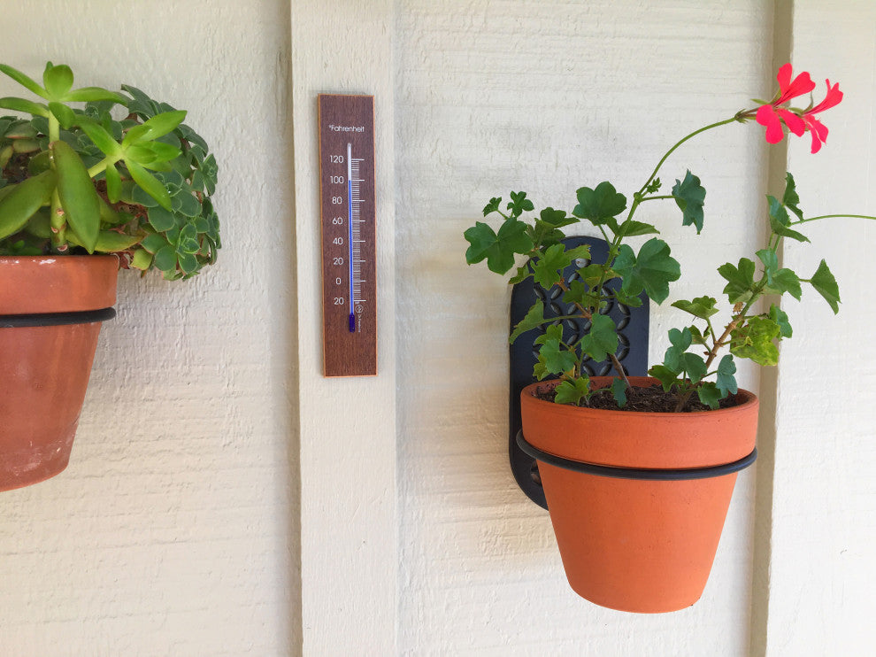 Wall Thermometer Walnut Finish 7.8 inch