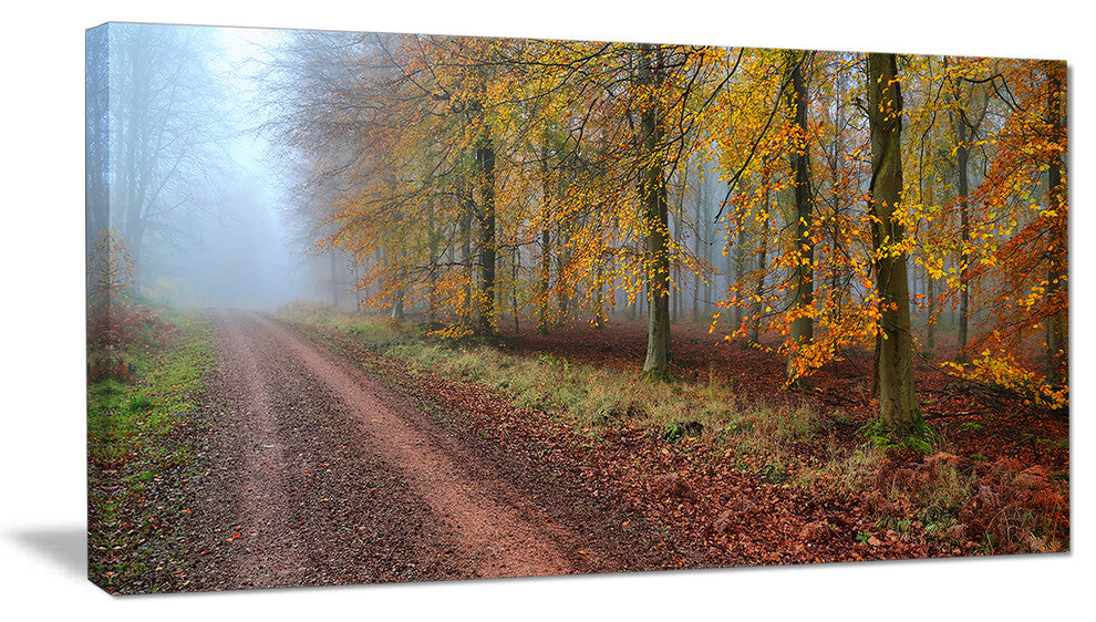Raising Sun in Fall Forest Panorama, Forest Canvas Art Print, 32"x16"