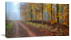 Raising Sun in Fall Forest Panorama, Forest Canvas Art Print, 32"x16"