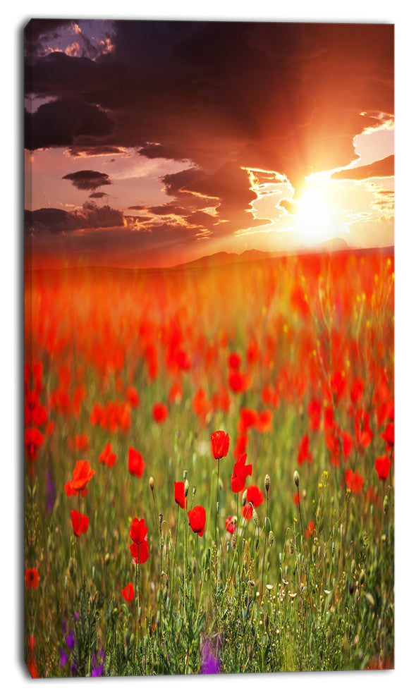 Wild Poppy Flowers At Cloudy Sunset, Large Flower Canvas Art Print, 16"x32"