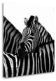 "A Safe Place" By Nina Papiorek, Giclee Print on Gallery Wrap Canvas