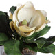 Large Southern White Magnolia Blossom Faux Floral Glass Vase