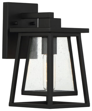 Denver 1-Light Outdoor Wall Lantern, Matte Black