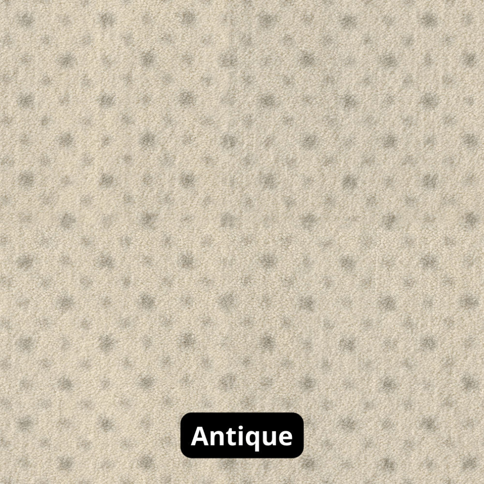 Dot Design 3/8" Thick Indoor Area Rug Carpet, Antique, 8x10