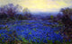 Julian Onderdonk Untitled, Also known as Field of Bluebonnets Wrapped Canvas