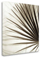 "Florison - 66" By Alan Blaustein, Giclee Print on Gallery Wrap Canvas