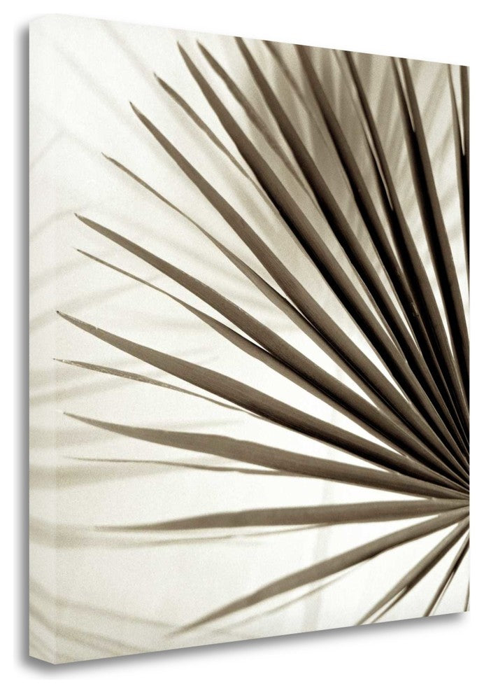 "Florison - 66" By Alan Blaustein, Giclee Print on Gallery Wrap Canvas