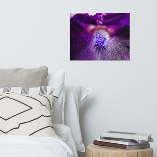 Eye of Iris Nature Photography, Floral Unframed Wall Art Print, 16" X 20"