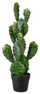 Serene Spaces Living Faux Pear Cactus in Plastic Black Pot, 27" Tall