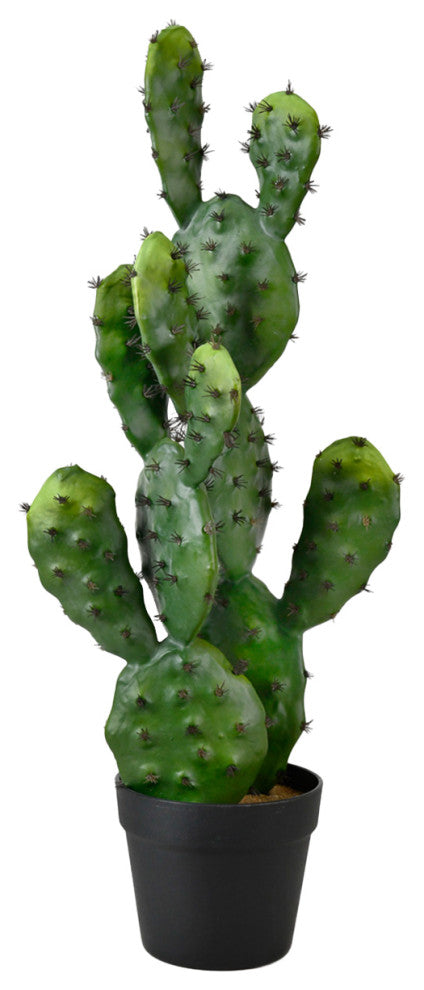 Serene Spaces Living Faux Pear Cactus in Plastic Black Pot, 27" Tall
