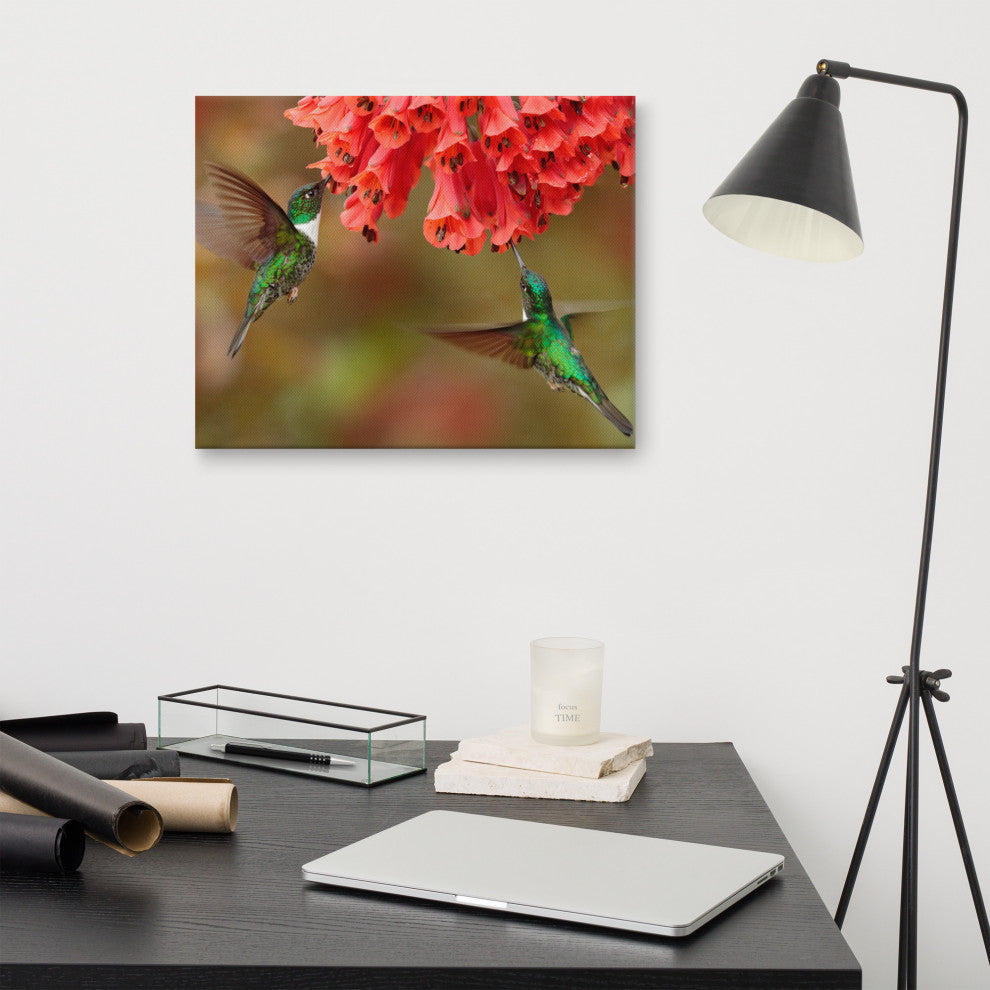 Hummingbirds Reddish-Orange Flowers Animal Wildlife Photo Canvas Wall Art Print, 16" X 20"
