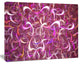 Pink Watercolor Fractal Pattern, Oversized Abstract Canvas Art Print, 60x40