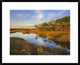 "Lake near Apalachicola, Florida" Framed Digital Print by Tim Fitzharris, 32x26"