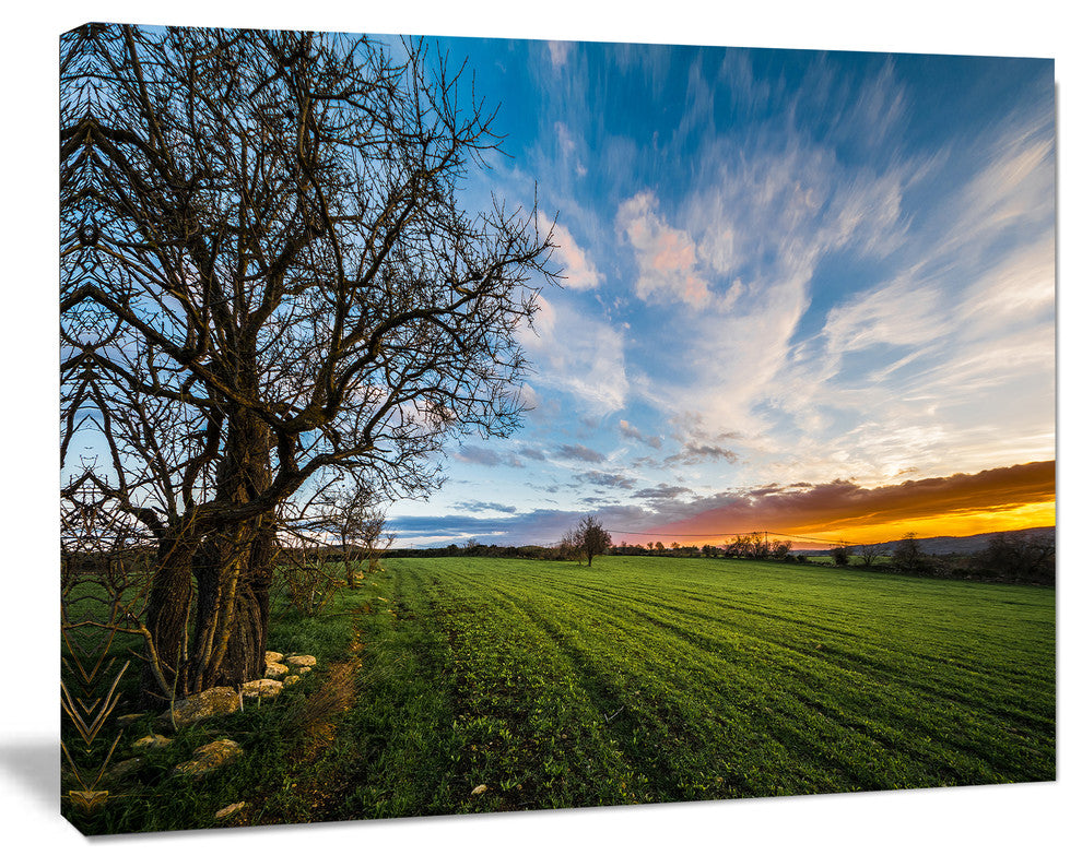 Green Pasture under Blue Sky, Extra Large Landscape Canvas Art Print, 20"x12"
