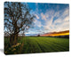 Green Pasture under Blue Sky, Extra Large Landscape Canvas Art Print, 20"x12"