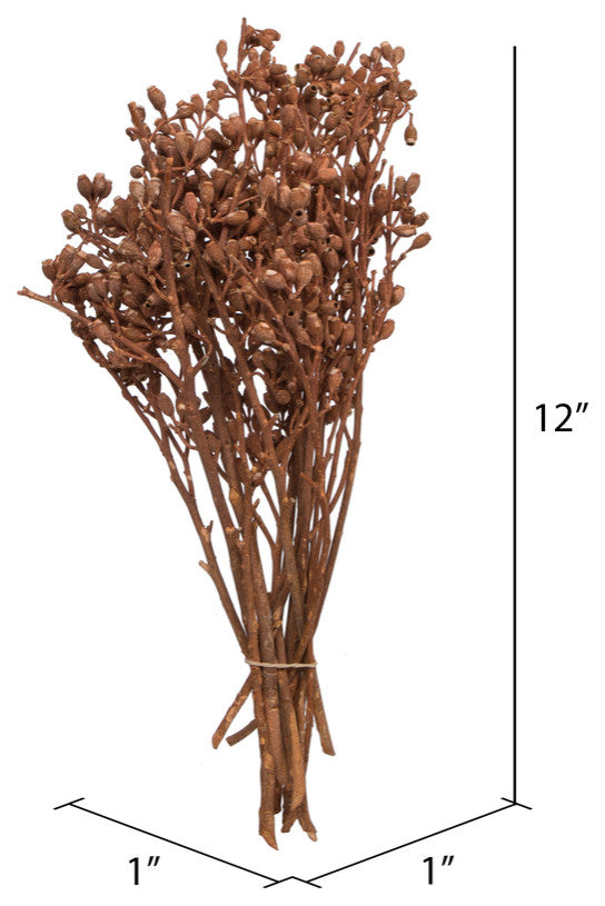 Vickerman Natural Botanicals 12" x 1-3" Eucalyptus Clusters, Orange, 12" x 1-3"