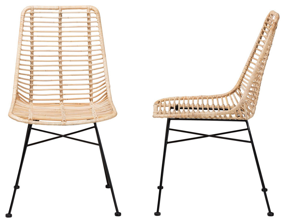 Rosalin Rattan and Metal Dining Chairs, Set of 2