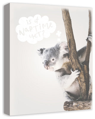 Baby Koala 16x20 Canvas Wall Art