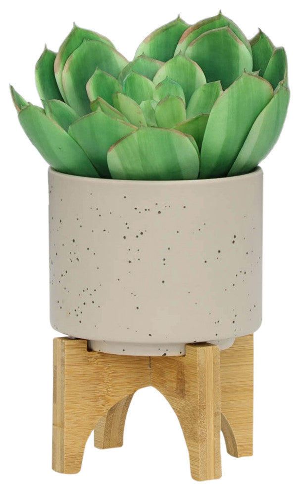 Set of 2, 5" and 8" Planter With Wood Stand, Matte Beige