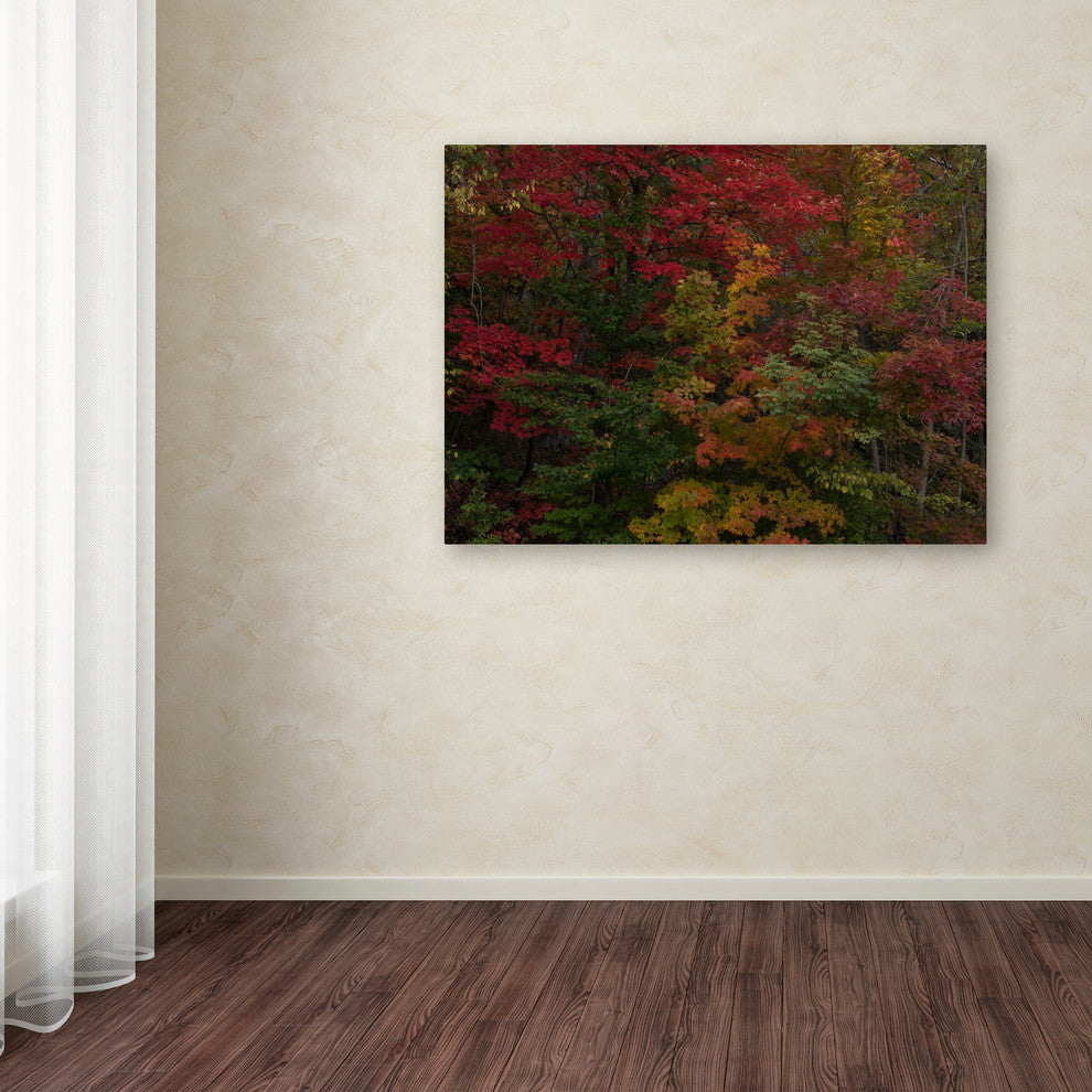 'Why I Love Autumn' Canvas Art by Kurt Shaffer